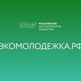 Студенты АГПК приглашаются к участию в проекте «Экомолодежка.РФ»