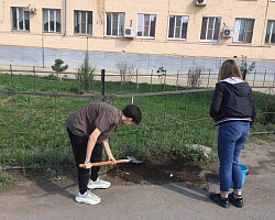 Всероссийский субботник!